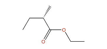 Ethyl (S)-2-methylbutanoate